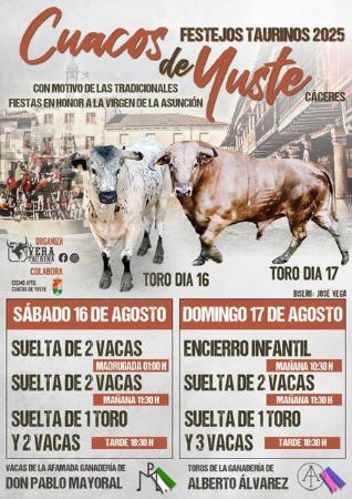 Imagen Cartel Festejos Taurinos 2025